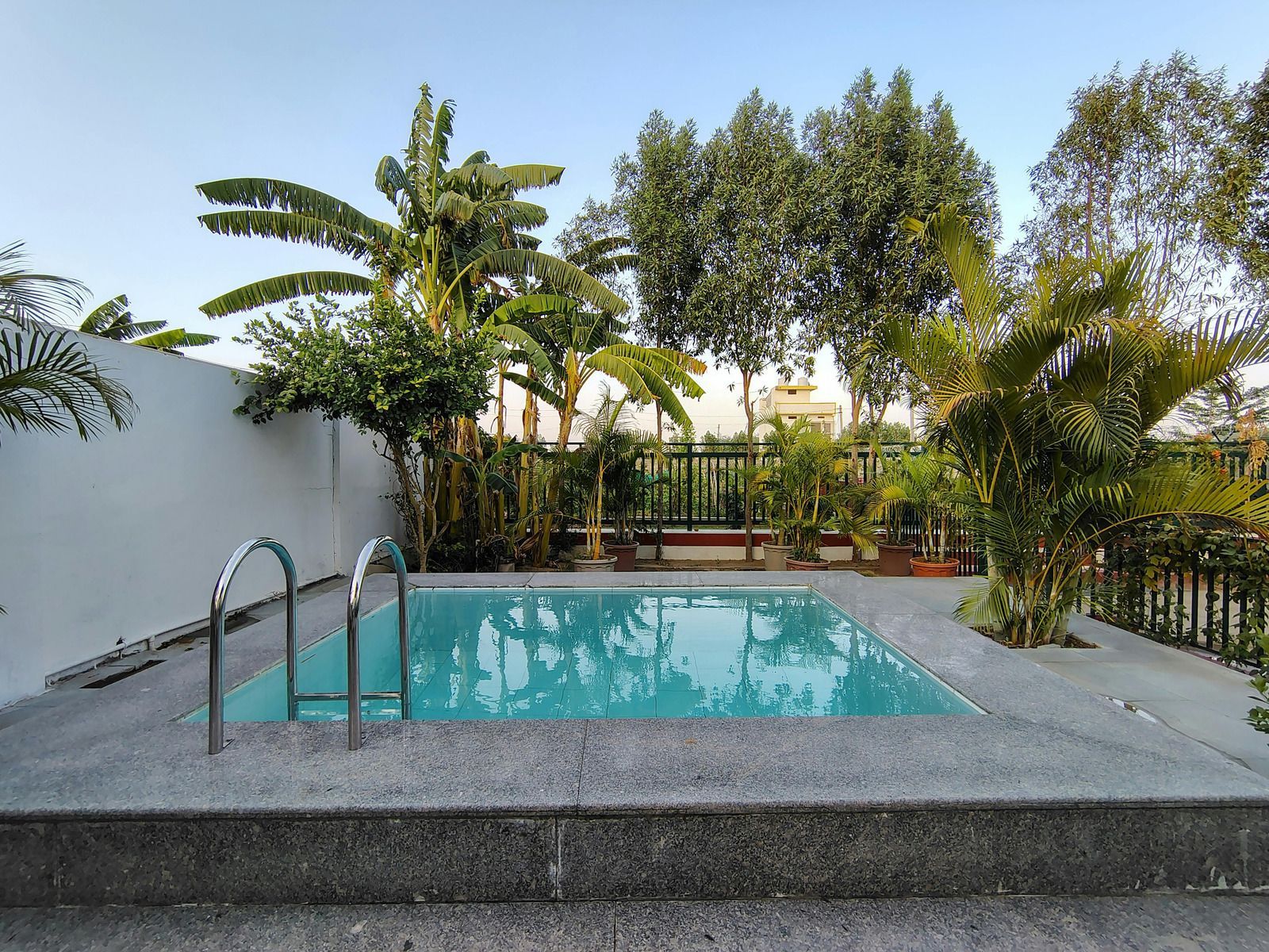 A small, rectangular outdoor swimming pool with bright blue water, surrounded by a stone deck, trees, and plants.