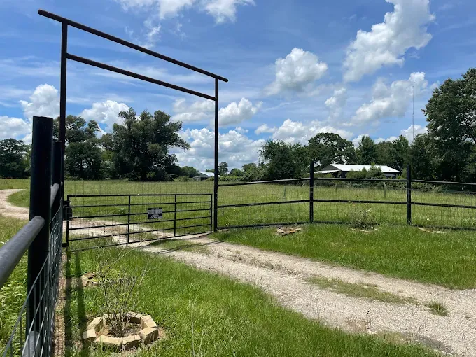 A black metal gate and archway open to a grassy pasture with a dirt road leading to a distant building under a blue sky.