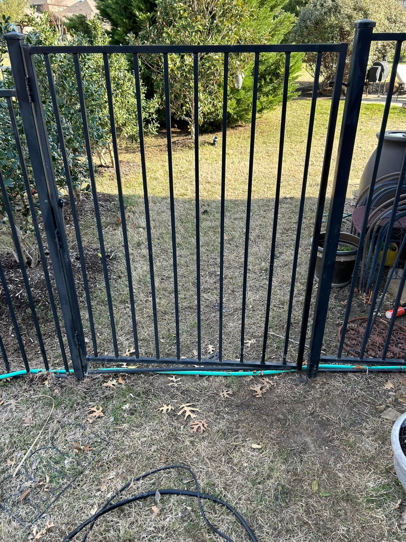 Black metal fence gate in a backyard setting with greenery and a garden hose running along the ground.