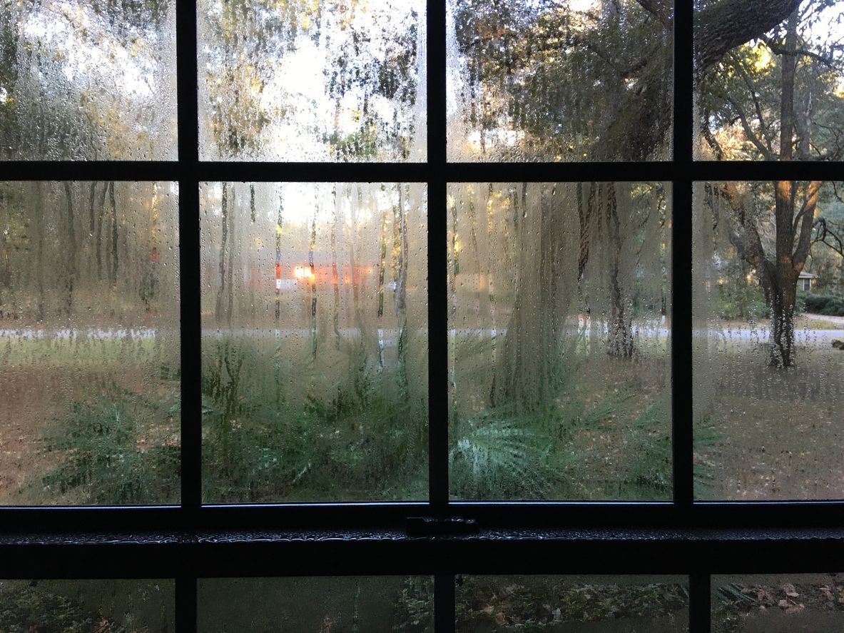 Sunrise through a window grid onto a misty yard with trees and grass