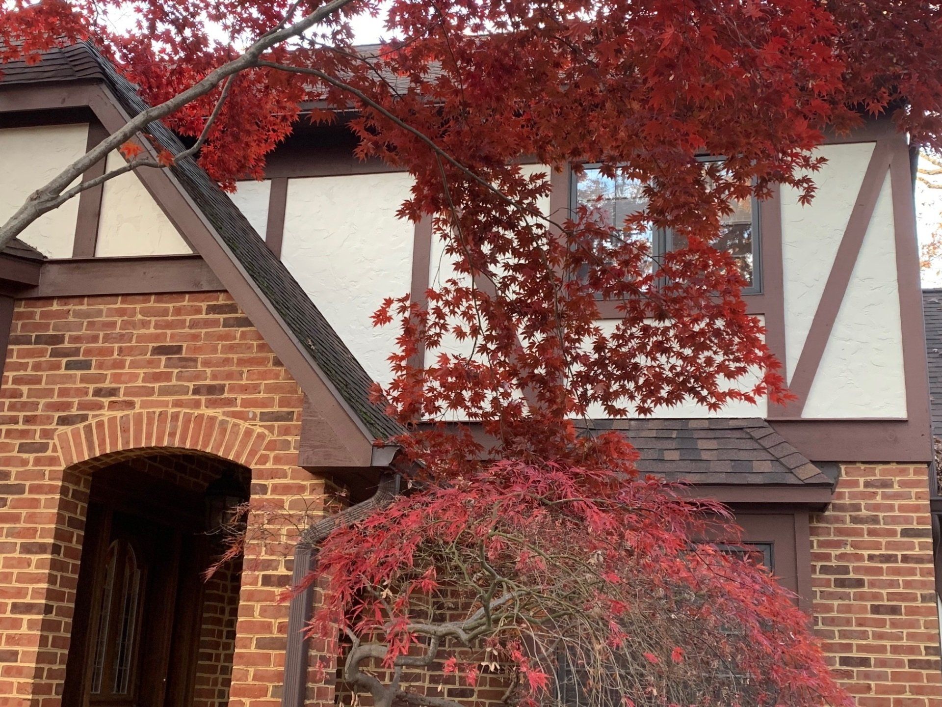 Brick house with Tudor accents and a red-leafed tree in front