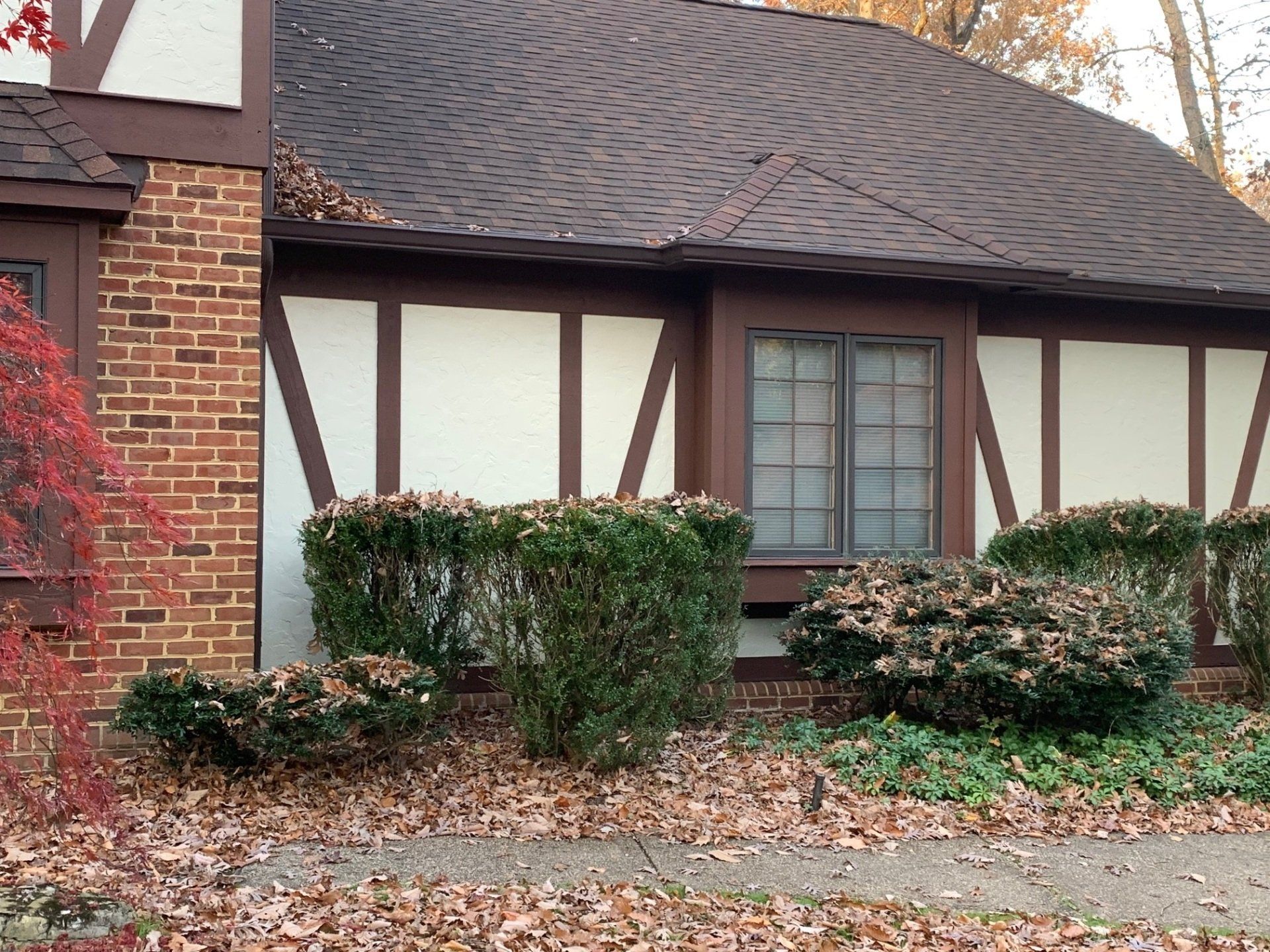 Suburban house exterior with white and brown Tudor-style walls, trimmed bushes, and fallen leaves