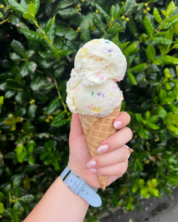 Hand holding a vanilla ice cream cone with sprinkles against green bushes