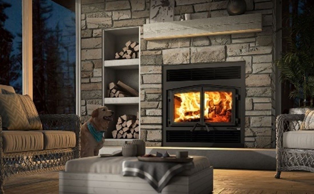 A dog is standing in front of a fireplace in a living room.