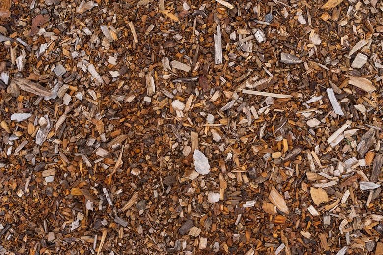 A close up of a pile of wood chips.