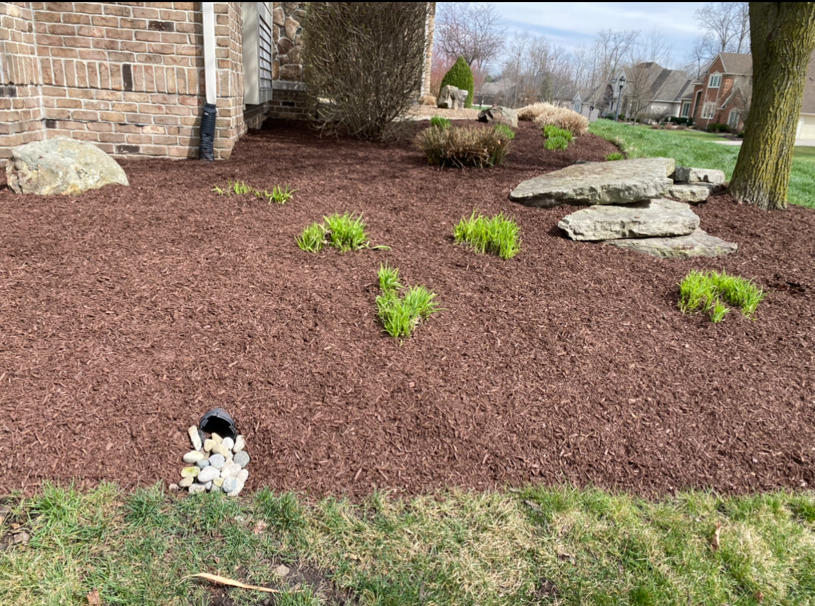 Small black-and-white dog sitting in a mulched garden bed beside rocks and shrubs near a stone house