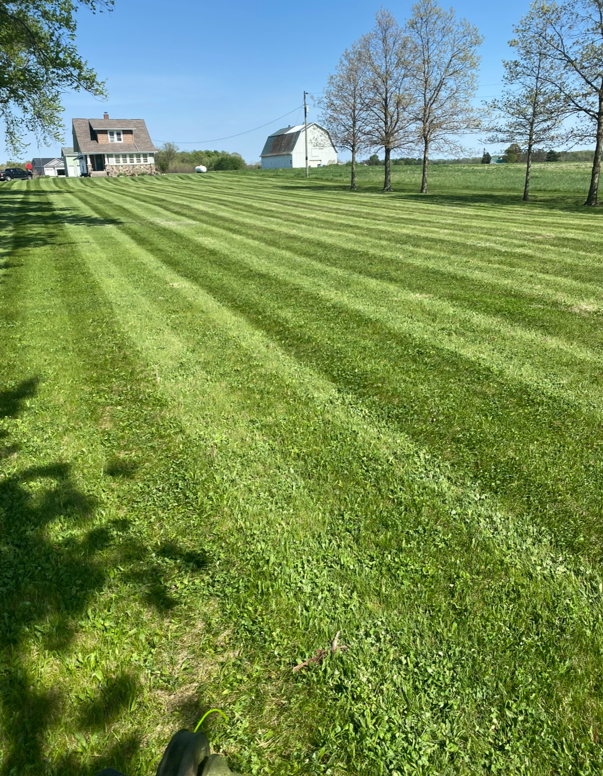A lawnmower with a black grass catcher bag sitting on a bright green lawn, showing a strip of freshly cut grass.