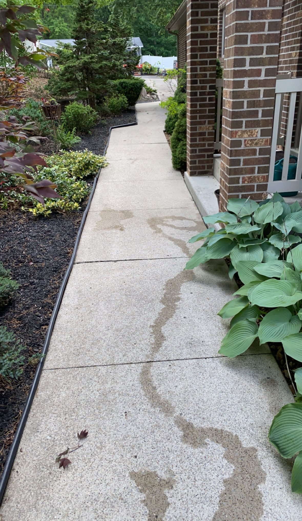 Narrow concrete walkway beside a brick house, lined with mulch and green plants.