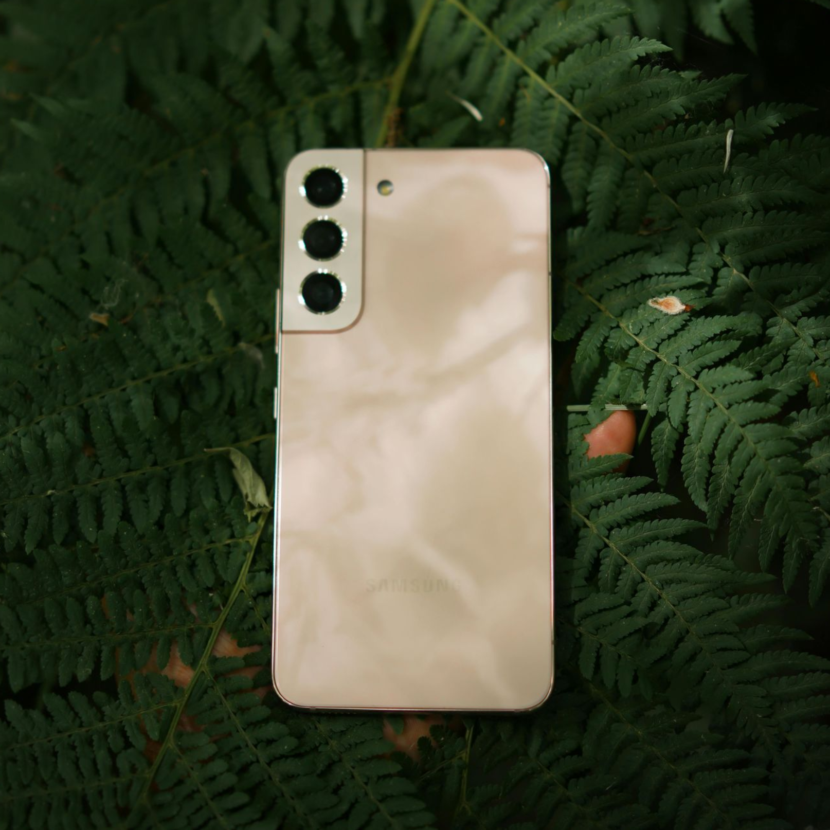 Gold smartphone with triple camera on green fern leaves