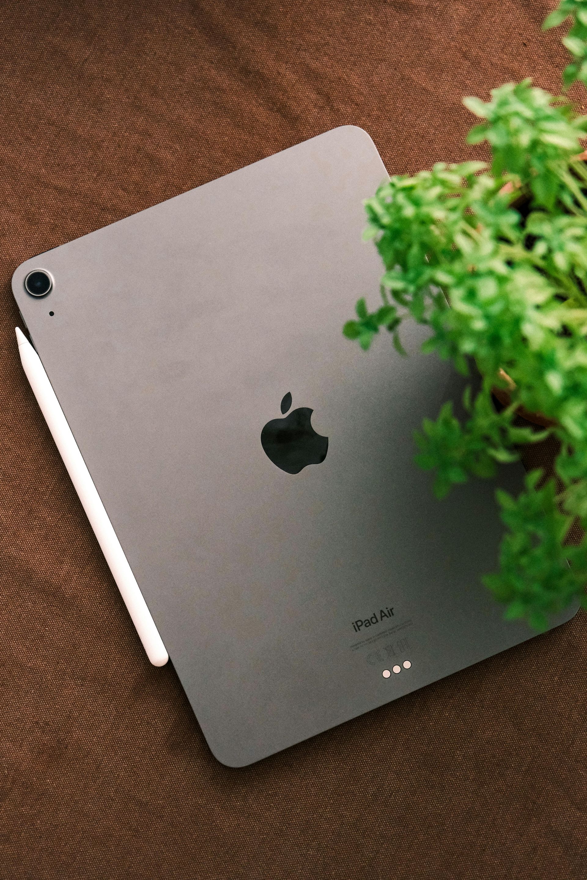 Silver iPad on a brown textured surface, partially covered by green leaves