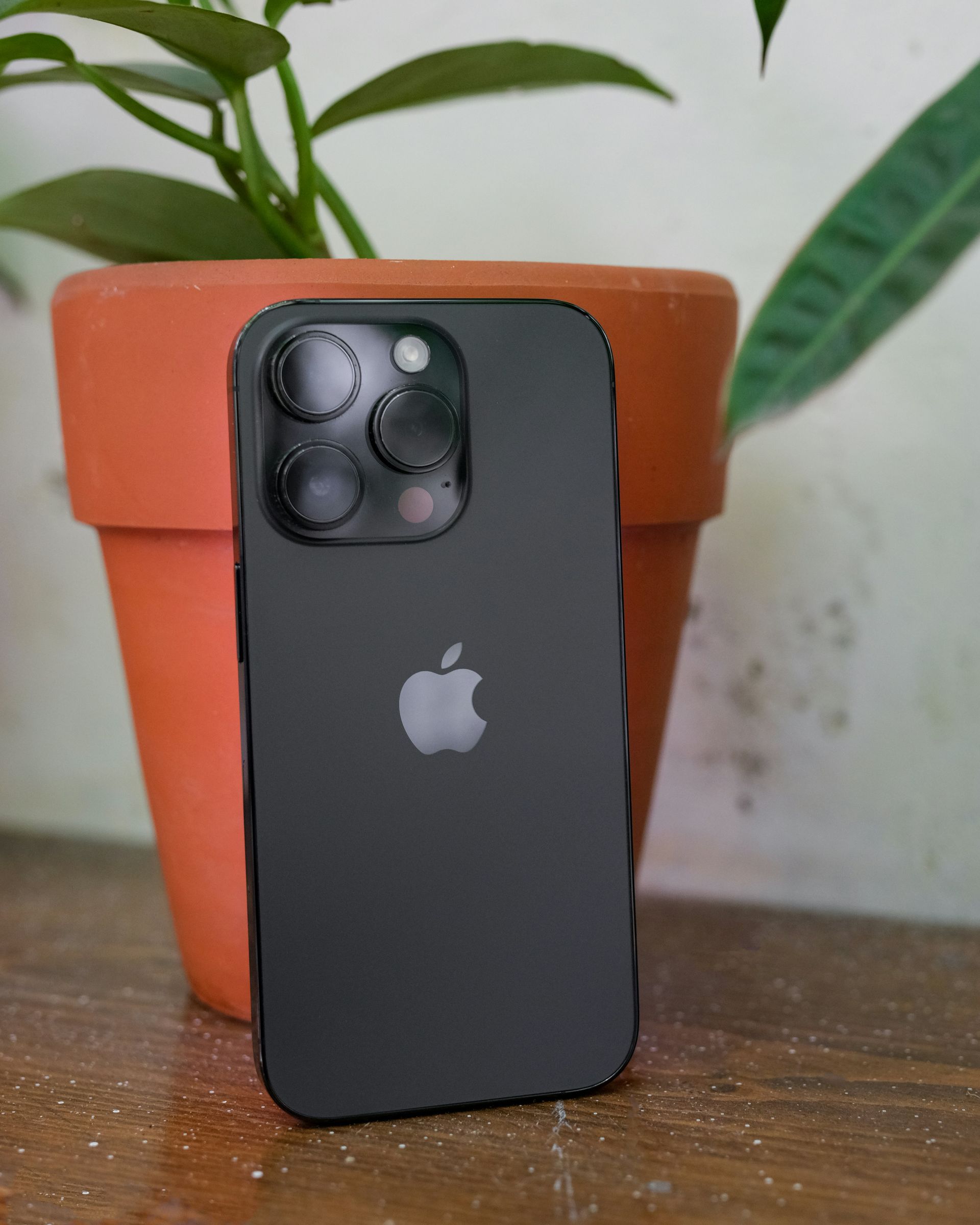 Black iPhone standing on a wooden table in front of a terracotta plant pot and green leaves