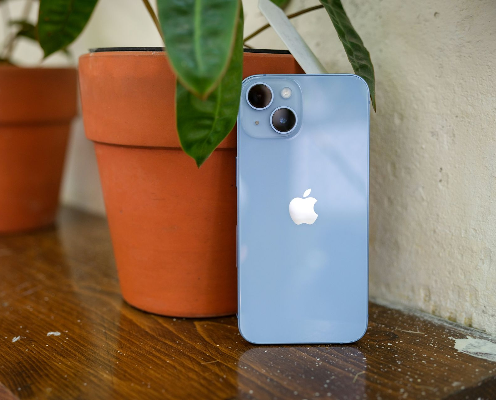 Blue iPhone standing on a wooden table beside a terracotta plant pot