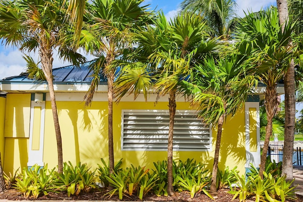 Yellow house with white louvered windows, surrounded by palm trees and tropical landscaping.