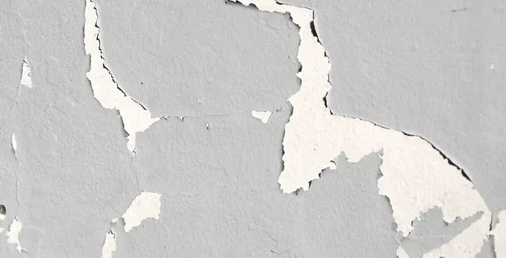Flaking gray paint on a wall, revealing the white surface underneath.