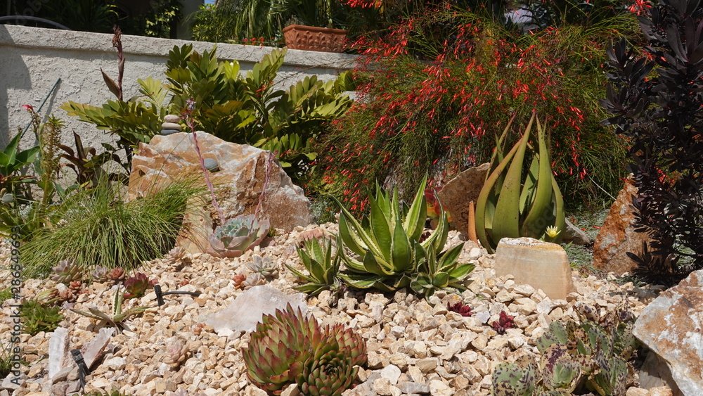 Benefits of Xeriscaping Garden