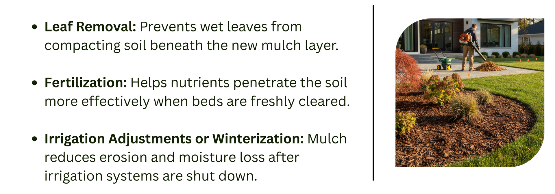 Graphic showing fall service benefits—leaf removal, fertilization, and irrigation winterization—beside a landscaper clearing leaves in a mulched yard.