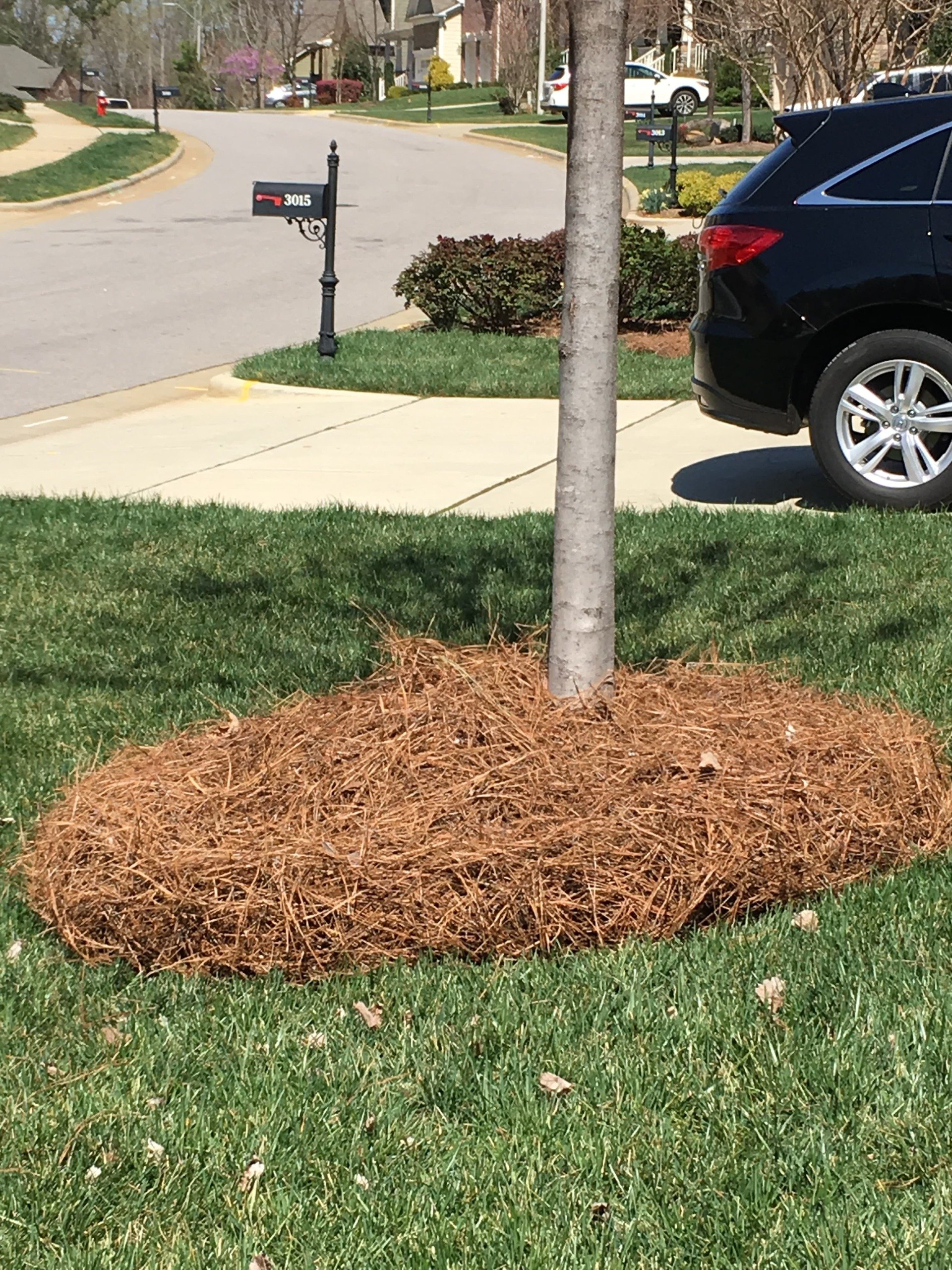 Pine Straw Installation Sanford NC Green Garden Landscaping