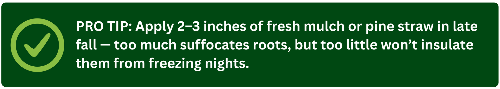 A green Pro Tip panel with a checkmark icon reminding homeowners that 2–3 inches of mulch or pine straw best protects roots in winter.