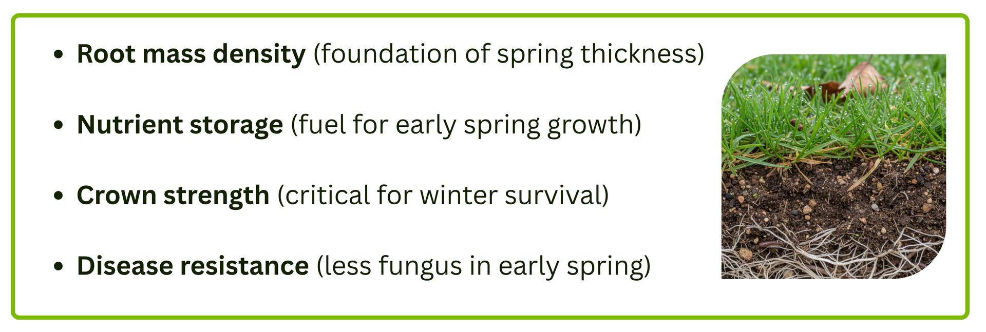 The Last Fertilizer of the Year: Why Your Lawn Needs It Before Winter - Green Garden Landscaping