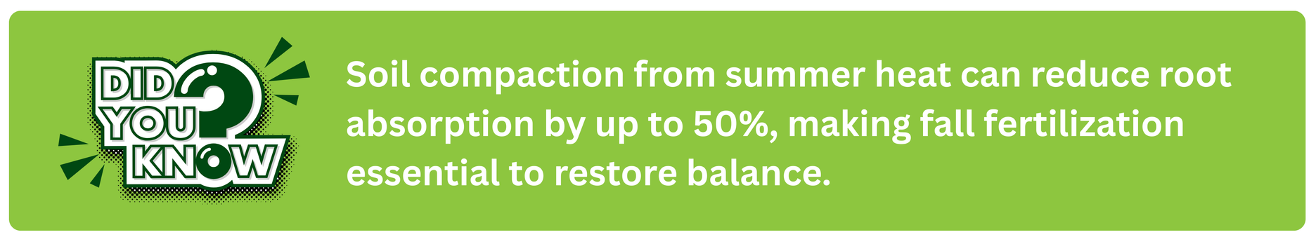 The Last Fertilizer of the Year: Why Your Lawn Needs It Before Winter - Green Garden Landscaping