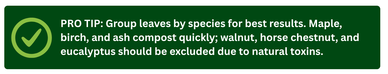 Pro tip graphic: Group leaves by species for best results. Includes which leaves compost quickly and which to exclude due to toxins.