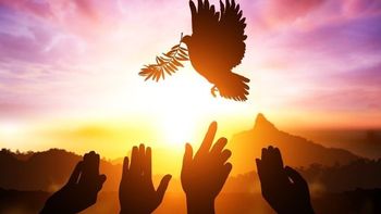 Silhouetten von Händen, die nach einer fliegenden Taube greifen, vor dem Hintergrund eines Sonnenuntergangs über Bergen.