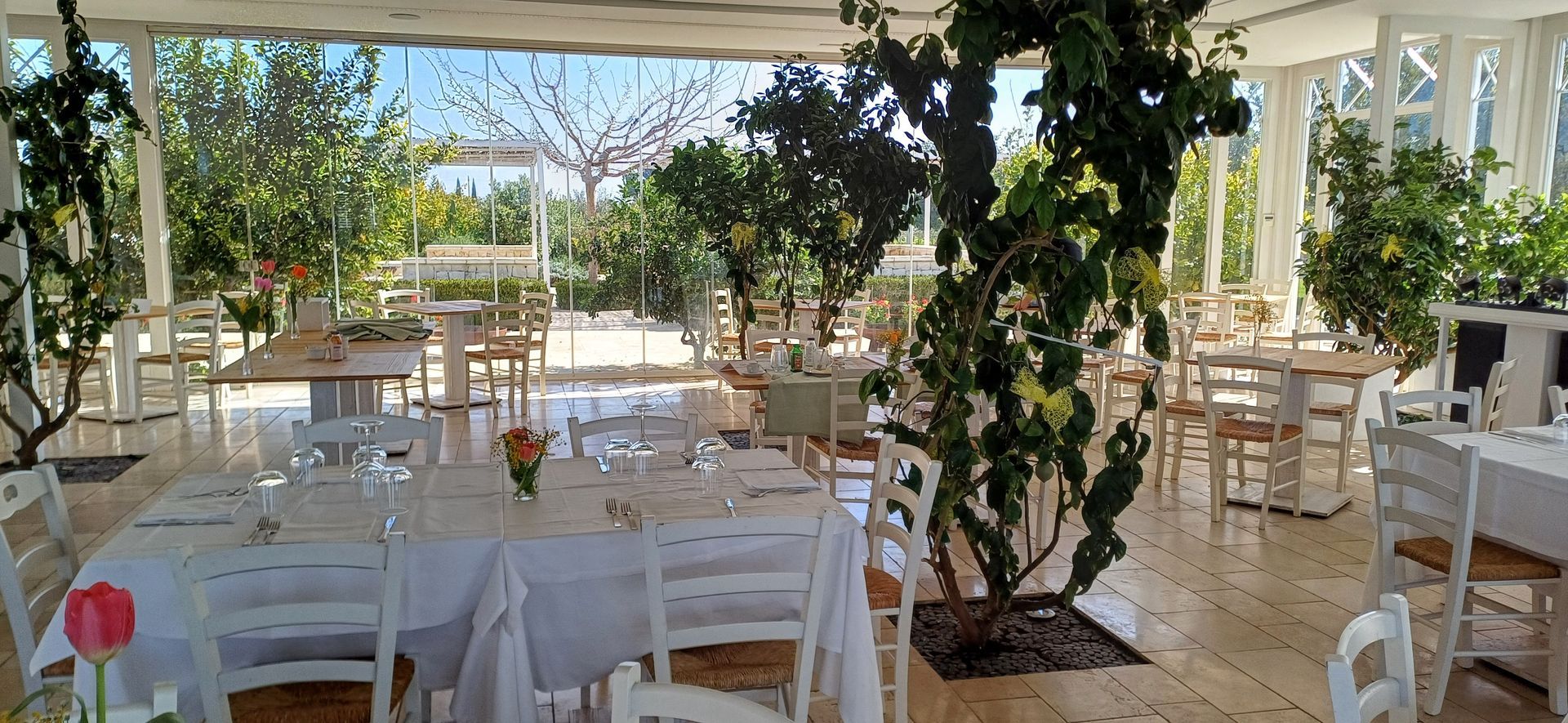 Ristorante all'aperto con tavoli e sedie bianchi, alberi e fogliame. Luce del sole.
