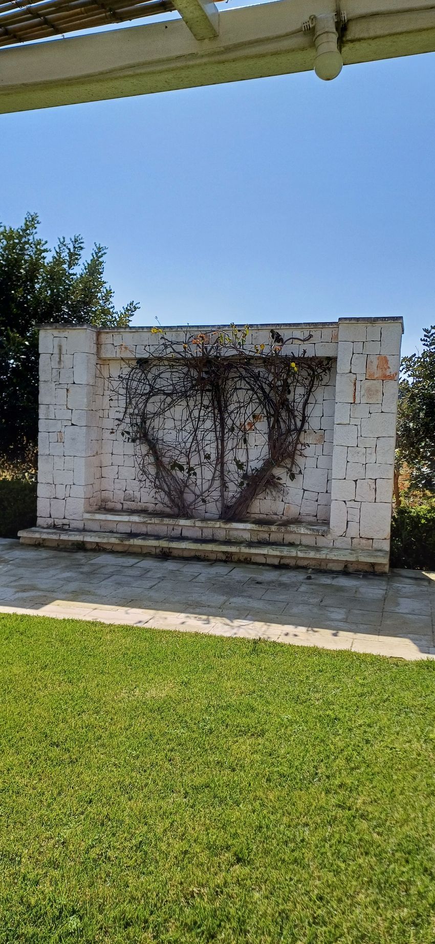 Muro di pietra con viti sull'erba, sotto il cielo azzurro.