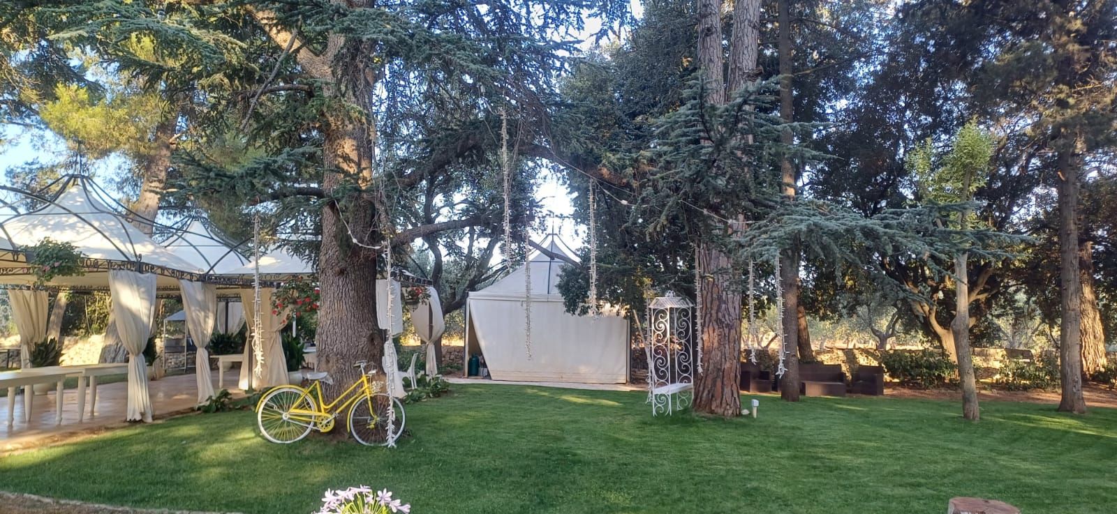 Un rigoglioso prato verde con alberi, due biciclette e tende bianche in un ambiente simile a un parco.