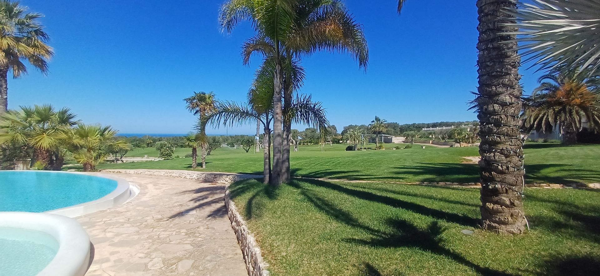 Vista sul prato, sulle palme e sull'oceano a bordo piscina, sotto un cielo azzurro brillante.