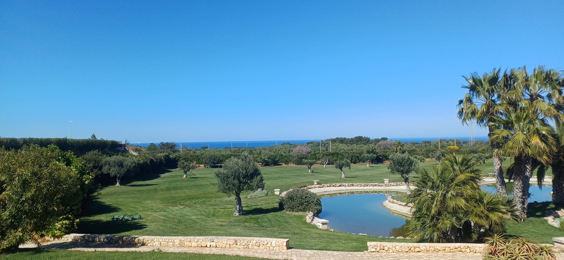 Un paesaggio verdeggiante e lussureggiante con alberi, uno stagno e una vista sul mare sotto un cielo azzurro e terso.