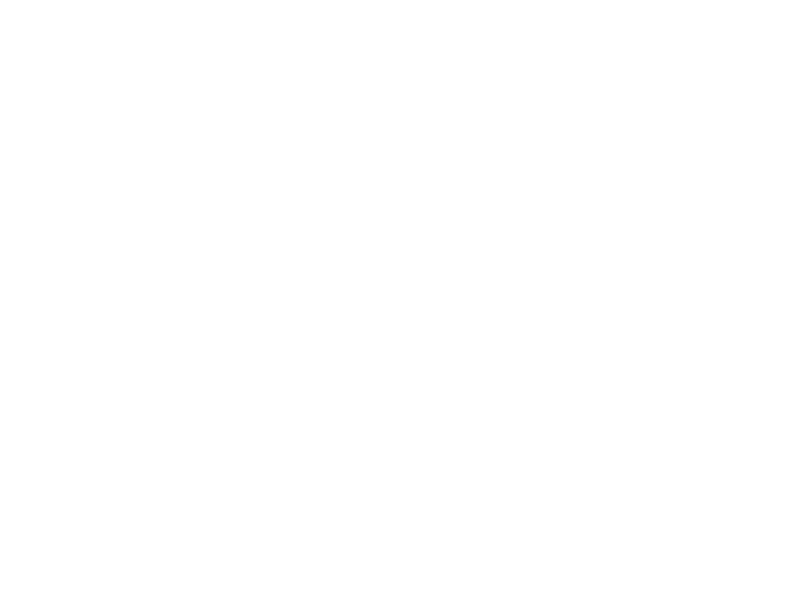 logo DP Wedding Planner