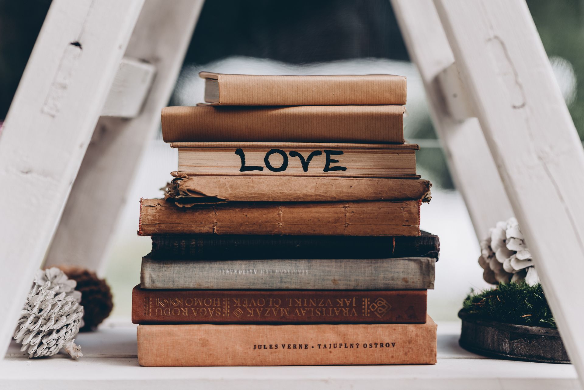 Pila di libri su uno scaffale bianco; su uno di essi è scritto