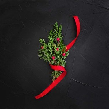 Rametto verde con bacche rosse avvolto da un nastro rosso su sfondo nero.