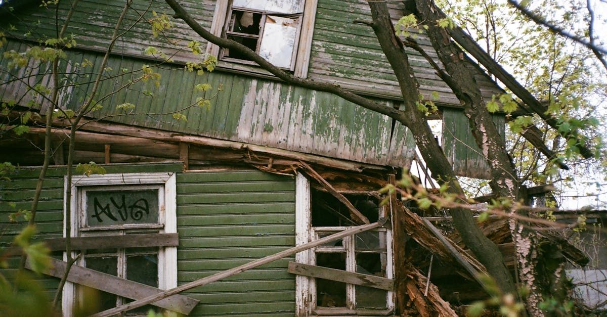 An old green house with a tree in front of it.