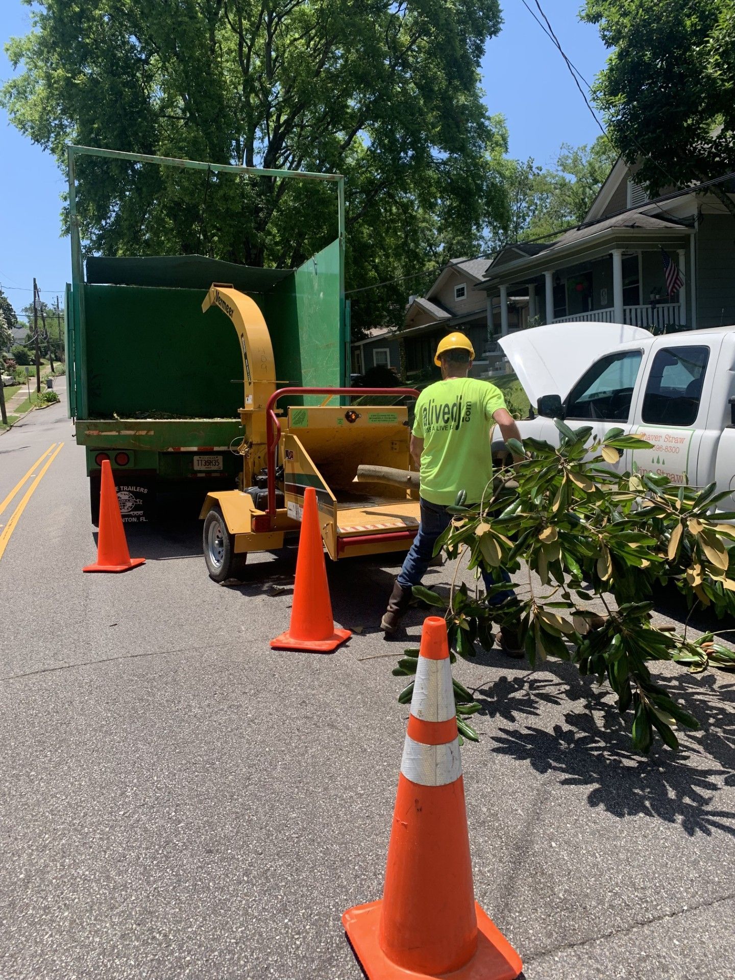 Arborist in safety gear cuts a large tree branch with a chainsaw, outdoors.