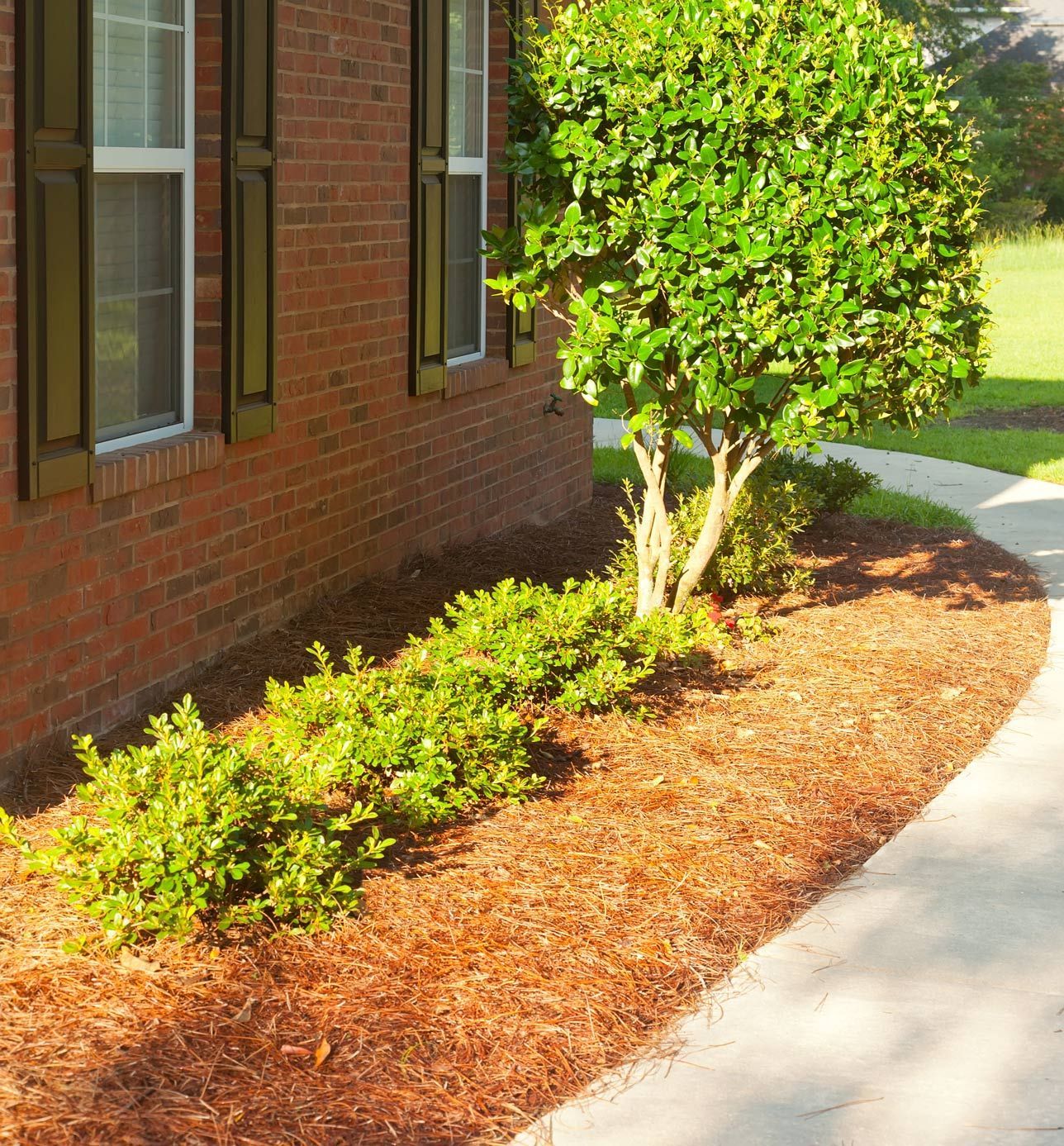 Red brick building with green plants and brown mulch along a sidewalk.