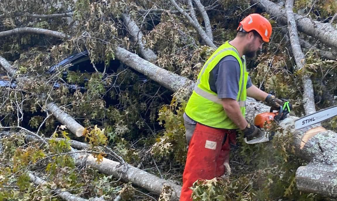 Tree service in Mountain Brook, AL. Tree service in Mountain Brook, AL.