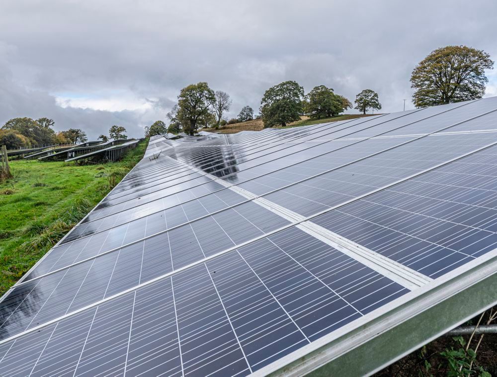Rows of large solar panels set in a grassy, open landscape under a cloudy, overcast sky.