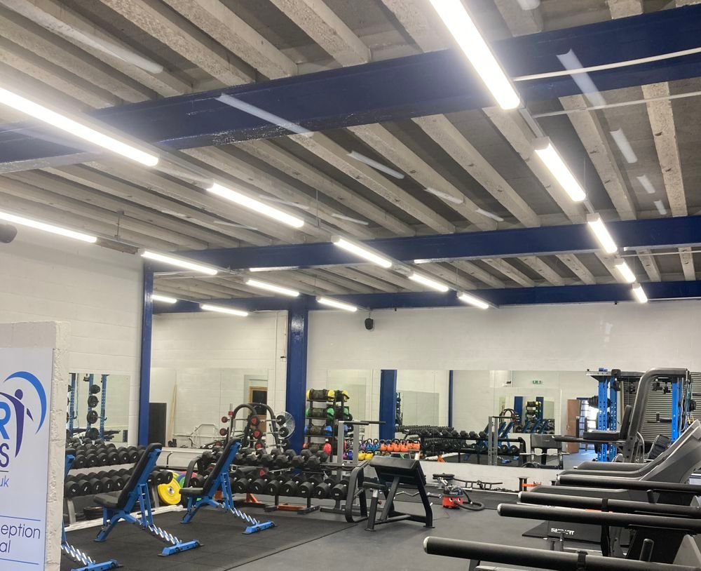 Interior view of a modern gym featuring rows of weight benches, dumbbells, exercise equipment, and mirrored walls.