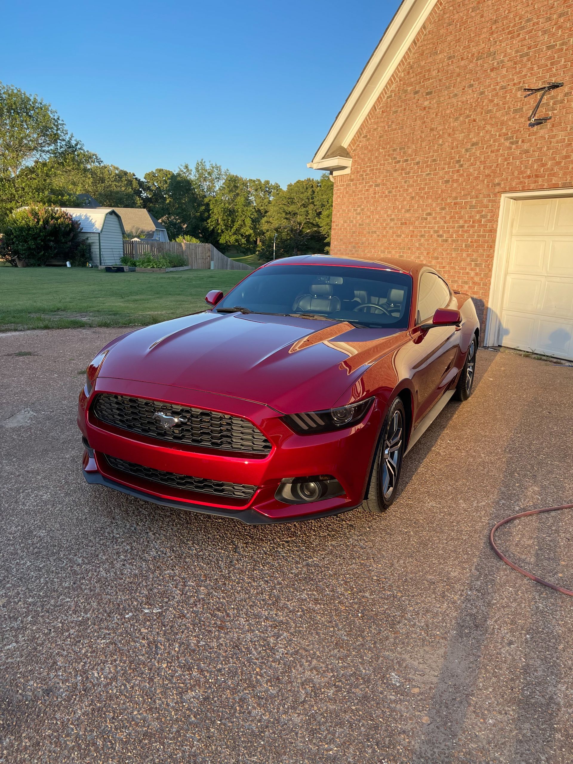 Red and black Ford Mustang with a glossy ceramic coating finish.