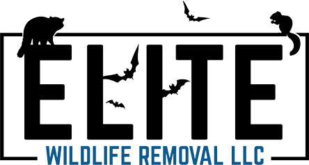The logo for elite wildlife removal llc shows a bear , squirrel , and bats.