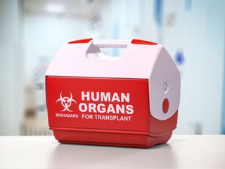 Red and white human organ transport cooler with biohazard symbol on a laboratory counter