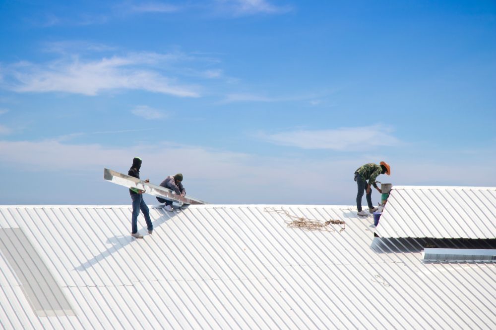 Workers Doing Metal Roofing on the Gold Coast
