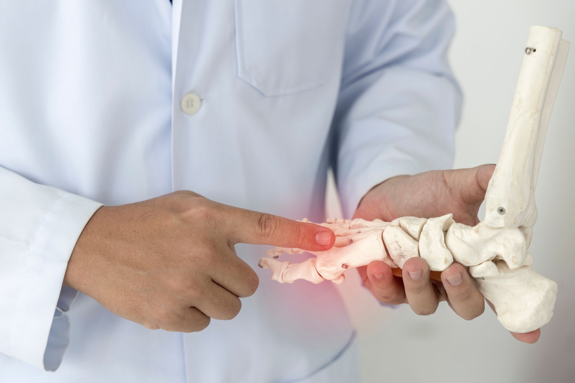 A doctor is holding a model of a broken ankle.
