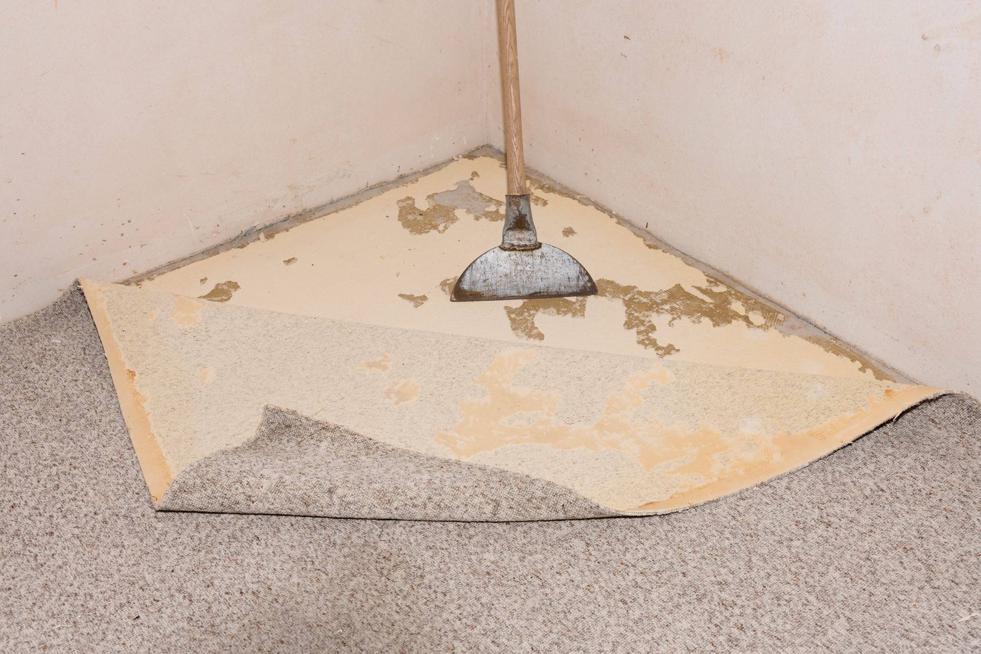 A mop is sitting on a piece of carpet in a corner of a room.