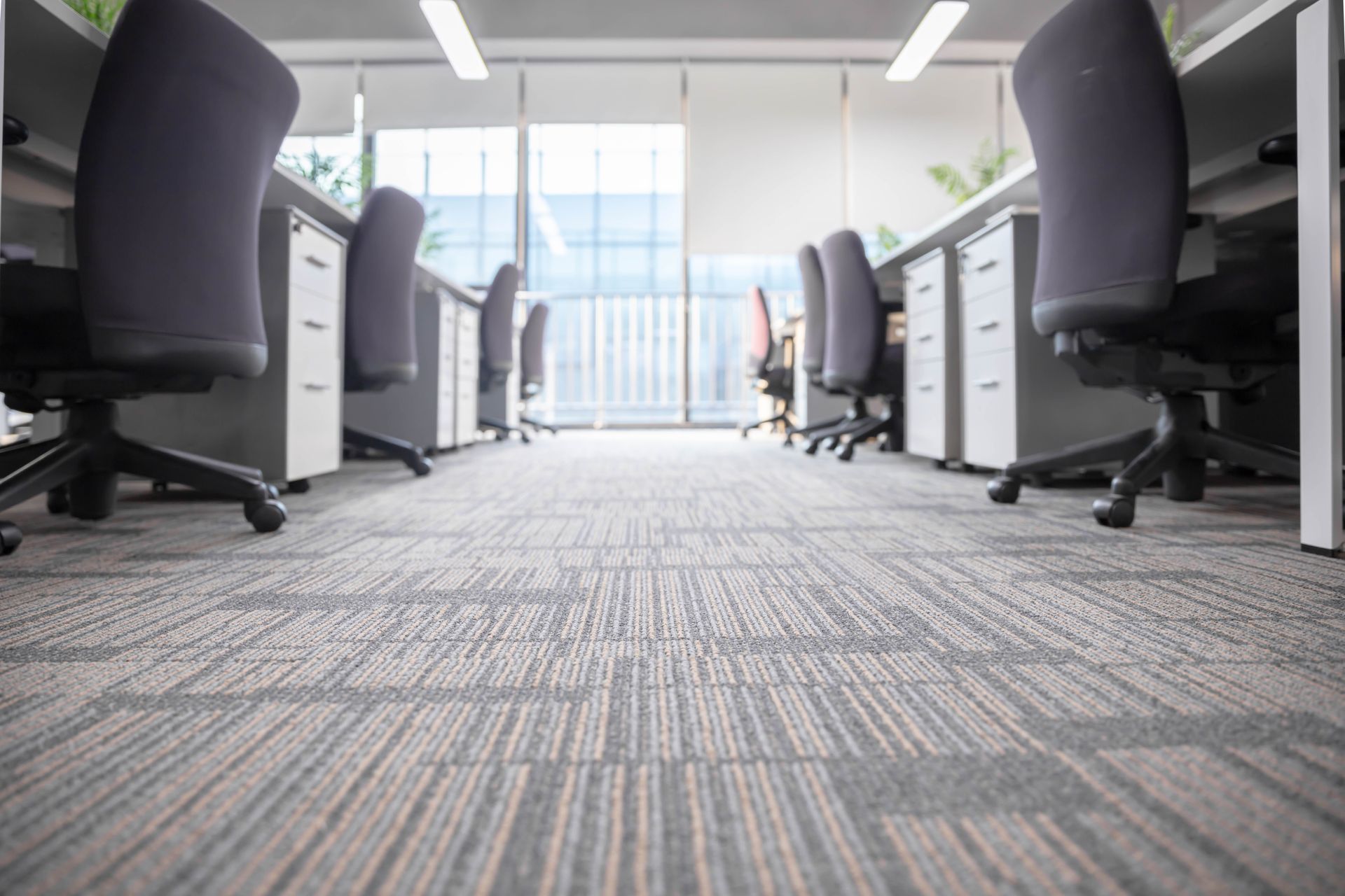 A row of desks and chairs in an office with a carpeted floor.