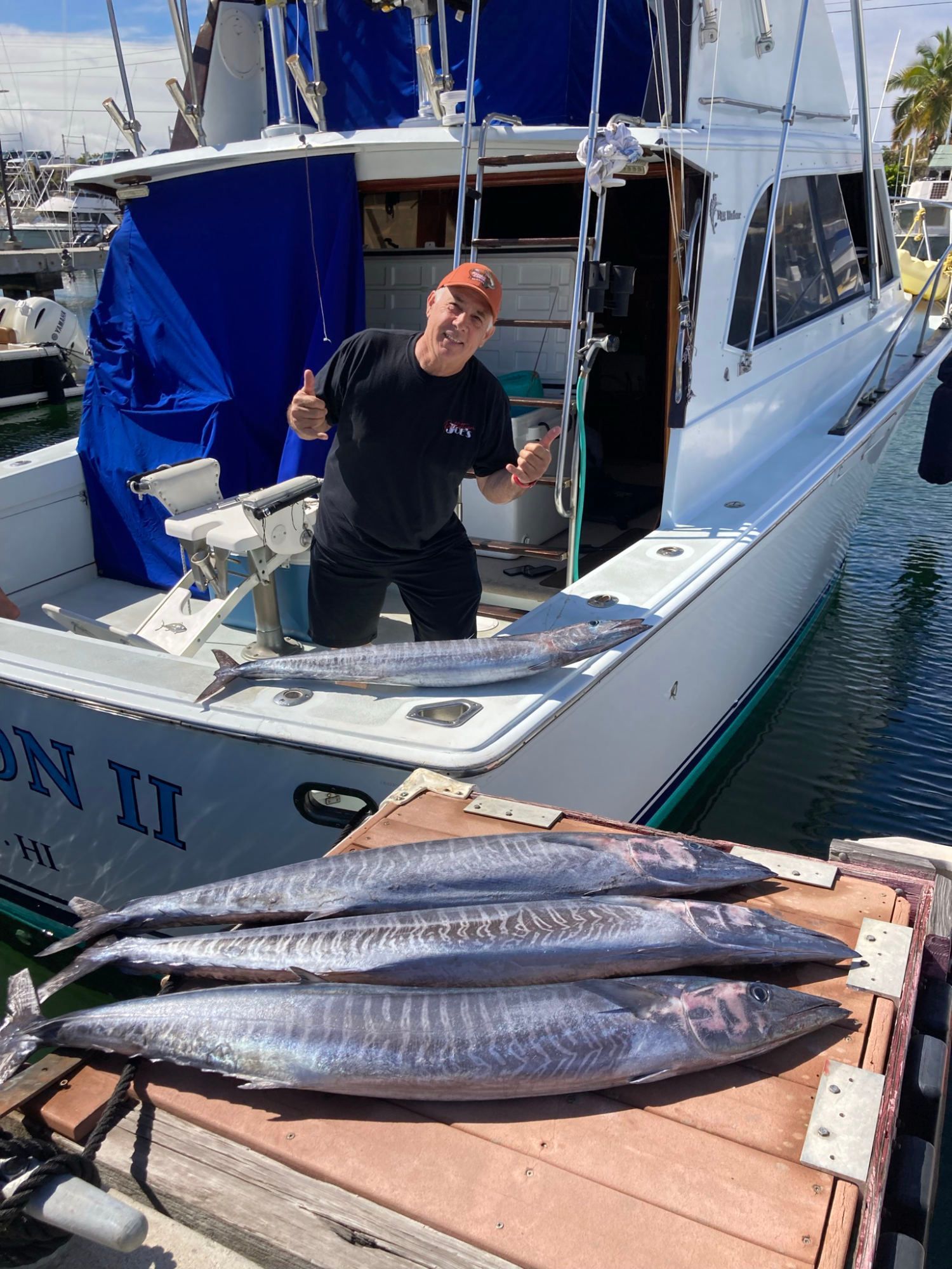 A man is standing on a dock next to a boat with fish on it.