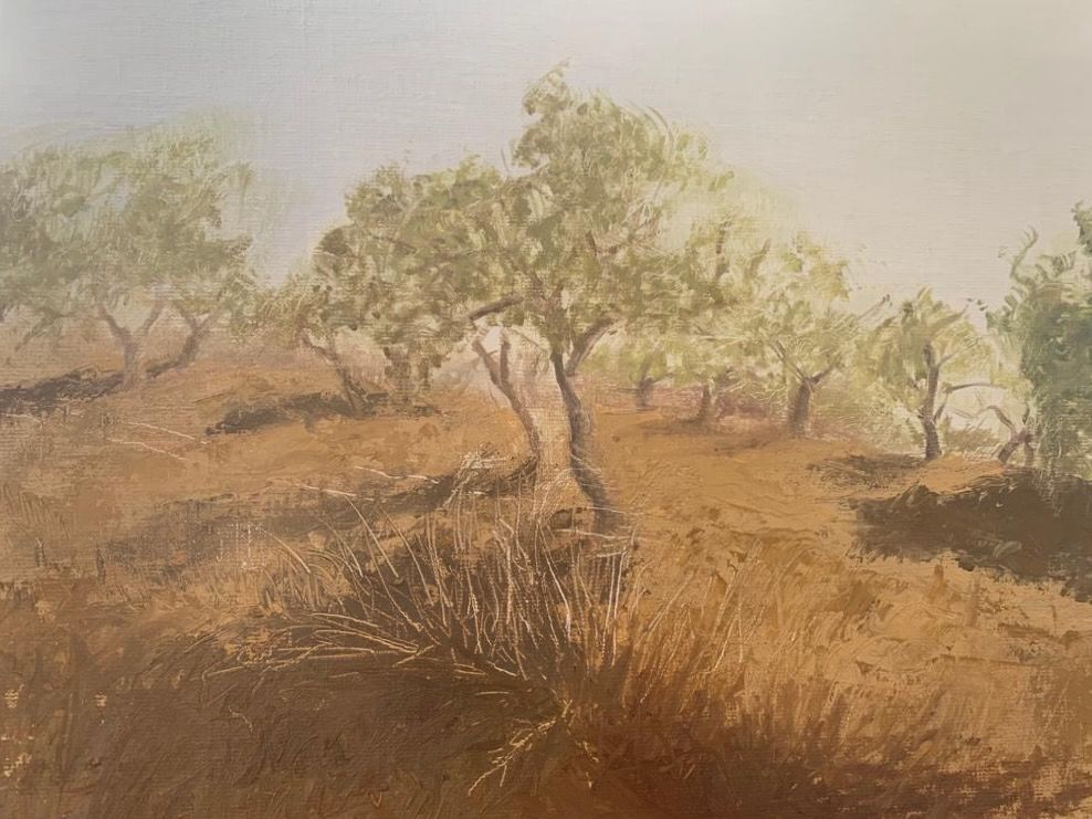 landschap licht