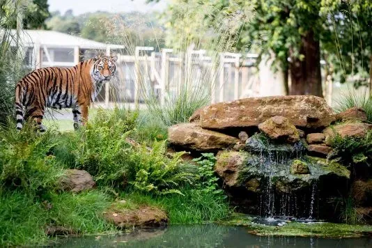 Zoo